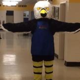 Our Mascot....Eddie the Eagle!